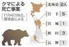 クマによる死亡事案