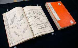 　京都府立植物園が所蔵している中国・明代の古文書「本草綱目」の一部＝８日、京都府庁