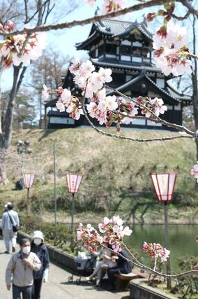 ３日、高田城址公園