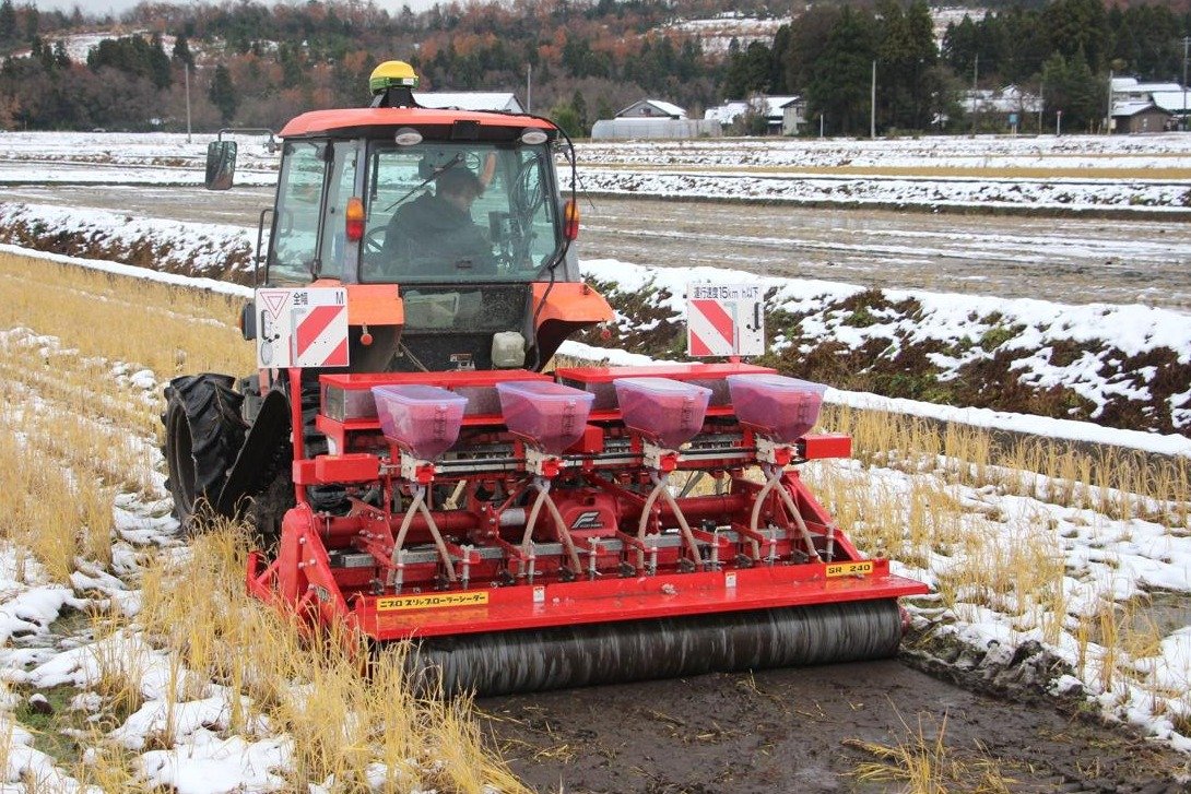 冬芽 61Cgc+blazL.jpg_BO30,255,255,