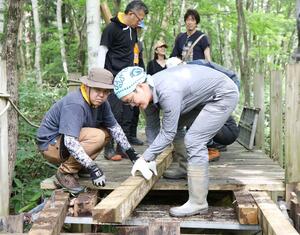 フジロックフェスティバルを控え、木道整備に励むボランティアたち=5日、湯沢町三国