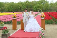 カラフルな花畑や森の新緑、2人を祝福♪胎内市「長池憩いの森公園」で結婚式…4日までチューリップフェスティバルも