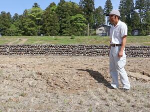 能登半島地震の影響で隆起した田んぼ=4月、上越市清里区