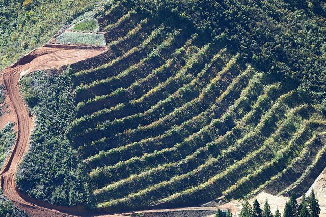 緑のピラミッド!?