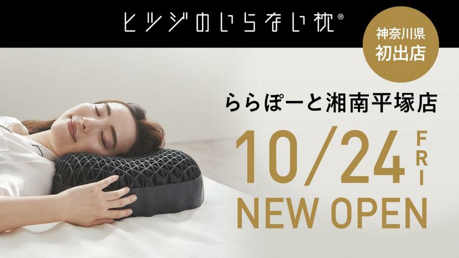 ヒツジのいらない枕 2024年NEWモデル 公式】ヒツジのいらない枕ー至極ー – ヒツジのいらない枕公式サイト