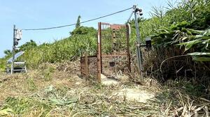 イノシシ対策として設置された箱わな。センサーとカメラを備える=上越市柿崎区(上越市提供)