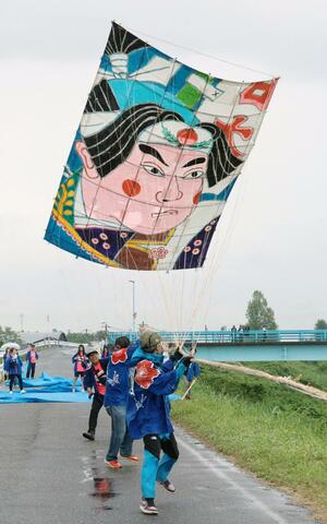 白根大凧合戦の最終日。雨の中でも一致団結し凧を揚げた参加者=8日、新潟市南区