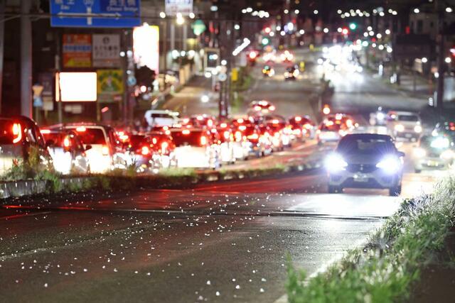 信濃川付近でカゲロウが発生し花びらのように舞う姿が見られた＝９月１９日、長岡市の大手大橋東詰