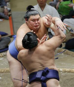 平戸海(手前)を攻める大の里。押し出しで下し、勝ち越しを決める=両国国技館