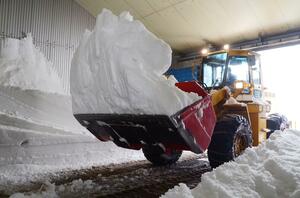除雪車を使って雪室に雪を入れる作業=津南町米原
