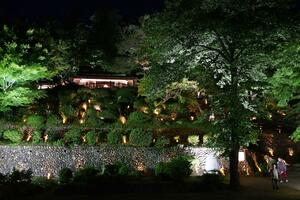 ライトアップされ幻想的な雰囲気に包まれた楽山苑=5月17日、長岡市与板町与板
