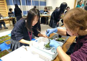 参加者に苔テラリウムの作り方をアドバイスする生徒＝新発田市住吉町５