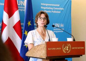 閣僚級会合を前に記者会見する欧州連合(EU)の環境担当者=12日、スイス・ジュネーブ(共同)