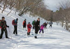 スノーシューで雪の林道を歩く参加者ら=佐渡市(佐和田地区公民館提供)