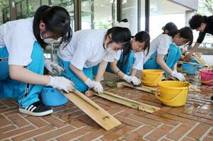 カラムシから繊維を取り出す新井高生=妙高市上町の勤労者研修センター
