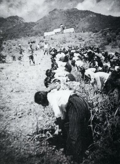 国民学校は少年兵をつくり出す組織だった」一変した学校生活 戦後80年