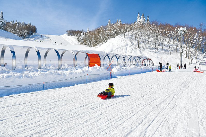この冬 ふらっとスキー場 新潟日報デジタルプラス