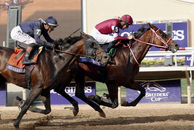 ＢＣクラシックで優勝した坂井瑠星騎乗のフォーエバーヤング（右）＝デルマー競馬場（共同）