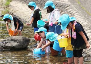 アユの稚魚を放流する上条保育園の園児=阿賀町豊川甲