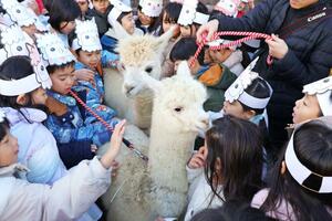 アルパカとの別れを惜しむ児童たち＝見附市反田町