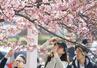 　気温が上がった東京都墨田区で桜の写真を撮る人たち＝２３日午後