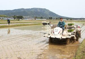 ことし一般栽培が始まったなつひめの田植え。米どころ新潟が売り出す極早生米として市場関係者も注目する＝新潟市西蒲区