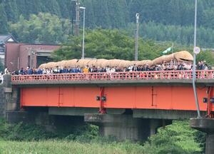 優良認定を受けた「えちごせきかわ 大したもん蛇まつり」=8月25日、関川村上関