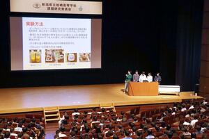 柏崎高校の３年生が独自に取り組んだ研究の発表会＝柏崎市日石町
