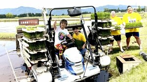 小林幸子ら、新潟で田植え