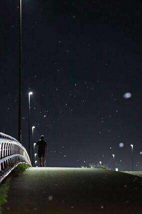 信濃川付近でカゲロウが発生し花びらのように舞う姿が見られた＝９月１９日、長岡市の大手大橋東詰