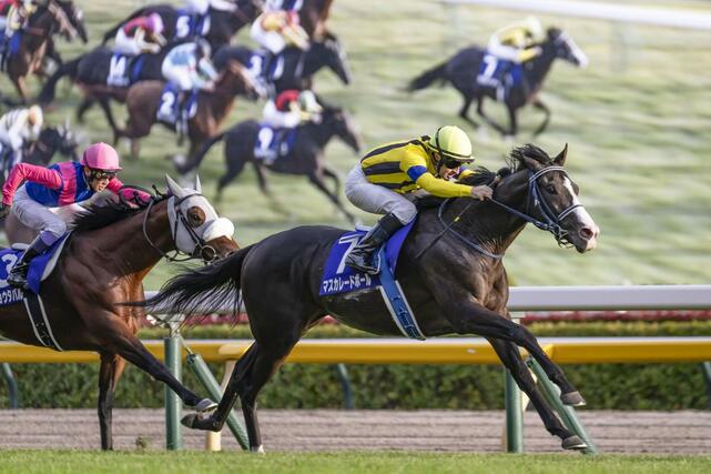 第１７２回天皇賞・秋を制したクリストフ・ルメール騎乗のマスカレードボール＝東京競馬場