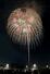 多くの市民らを魅了した五泉ひゃんで花火大会=新潟県五泉市赤海