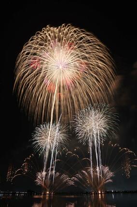 夜空を華やかに彩った阿賀野川ござれや花火＝２５日、新潟市北区