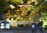 建物や新緑が光に照らされ、幻想的な雰囲気に包まれた「楽山苑」＝１５日夜、長岡市与板町与板