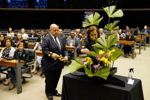 ブラジル連邦議会で開かれた「生け花の日」制定を祝う式典で、実演された生け花=23日、ブラジリア(共同)
