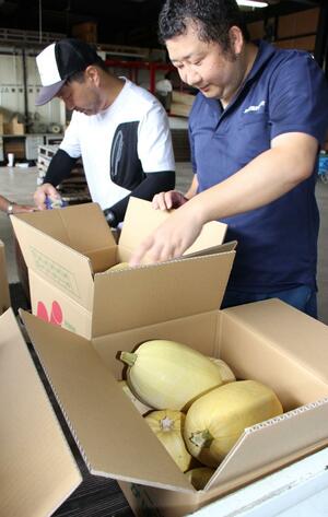 丸々と育った金糸瓜の出荷作業をする生産者ら=7月29日、阿賀町平堀