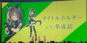 『ウマ娘 プリティーダービー 7th EVENT WORLD TOUR 「THE STAGE」 in TOKYO』DAY2の様子 (C)Cygames, Inc.