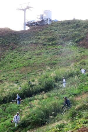 スキーシーズンを前に地域住民らが行った薬師スキー場の草刈り作業=7日、魚沼市七日市新田