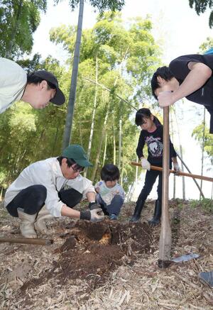 タケノコを掘り起こす「たけのこスクール」の参加者たち=4月14日、田上町原ケ崎新田