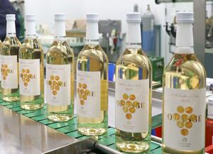 瓶詰めとラベル貼りを終え完成したオレンジワイン=上越市北方