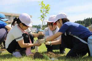 阿賀町２０周年を記念し町の花雪椿を丁寧に植える上川小の児童＝阿賀町両郷