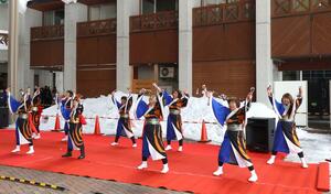 高柳雪まつりで息の合った踊りを披露したよさこい演舞=柏崎市高柳町