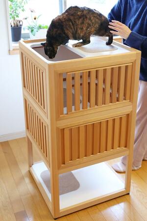 野村木工所が建具の製造技術を生かして考案した「ネコトクラ」=長岡市日赤町1