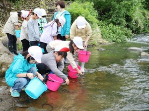 ウナギの稚魚を鯖石川に放流する鯖石小学校の児童=柏崎市高柳町高尾