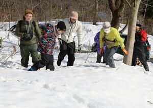 雪虫ウオッチスノーシューハイクで虫を探す参加者ら=阿賀町鹿瀬地区