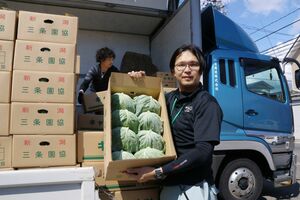 出荷のピークを迎え、トラックへの積み込み作業が続く中、春キャベツの出来栄えを紹介するJAの担当者=6月3日、三条市石上3