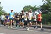 高田城ロードレース大会で力走するランナーたち＝７日、上越市本城町