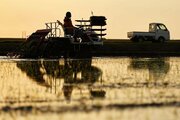 中小の農水産業者に補助金検討、政府与党　外食業界にも、消費税減税に伴う売り上げ減に備え