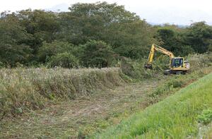 クマ被害を防ぐため重機で荒川河川敷の草木を踏み倒す作業員ら=28日、関川村
