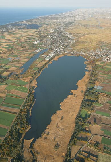 ラムサール条約湿地自治体の新潟市、潟や湿地に関わる市民活動に最大50